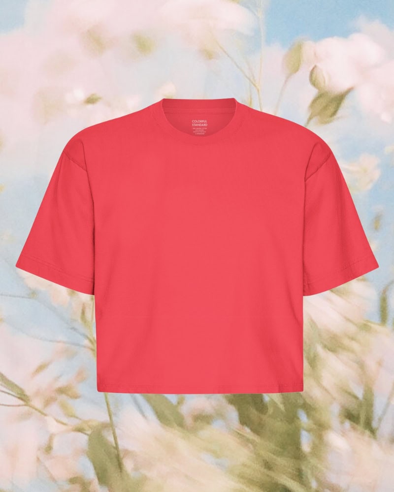 Colorful Standard Organic Boxy Crop Tee Red Tangerine